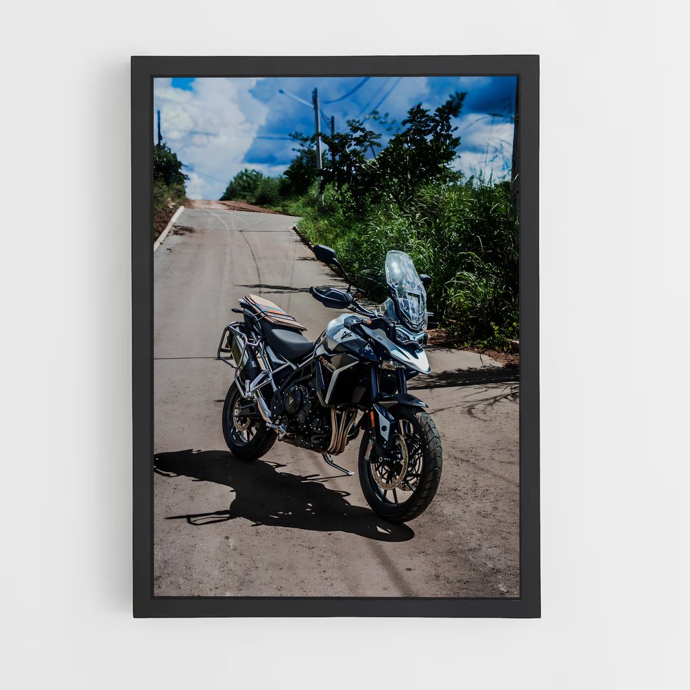 Poster Félidé Éblouissant 900 – affiche Triumph (vue 2)